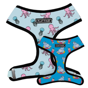 Flat Face Duo Reversible Harness and Leash / Lead Set - Hippoctopus - Flat Face