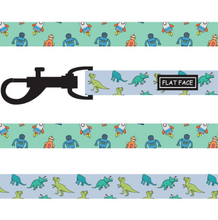 Load image into Gallery viewer, Flat Face Duo Reversible Harness and Leash / Lead Set - Dino Bot - Flat Face