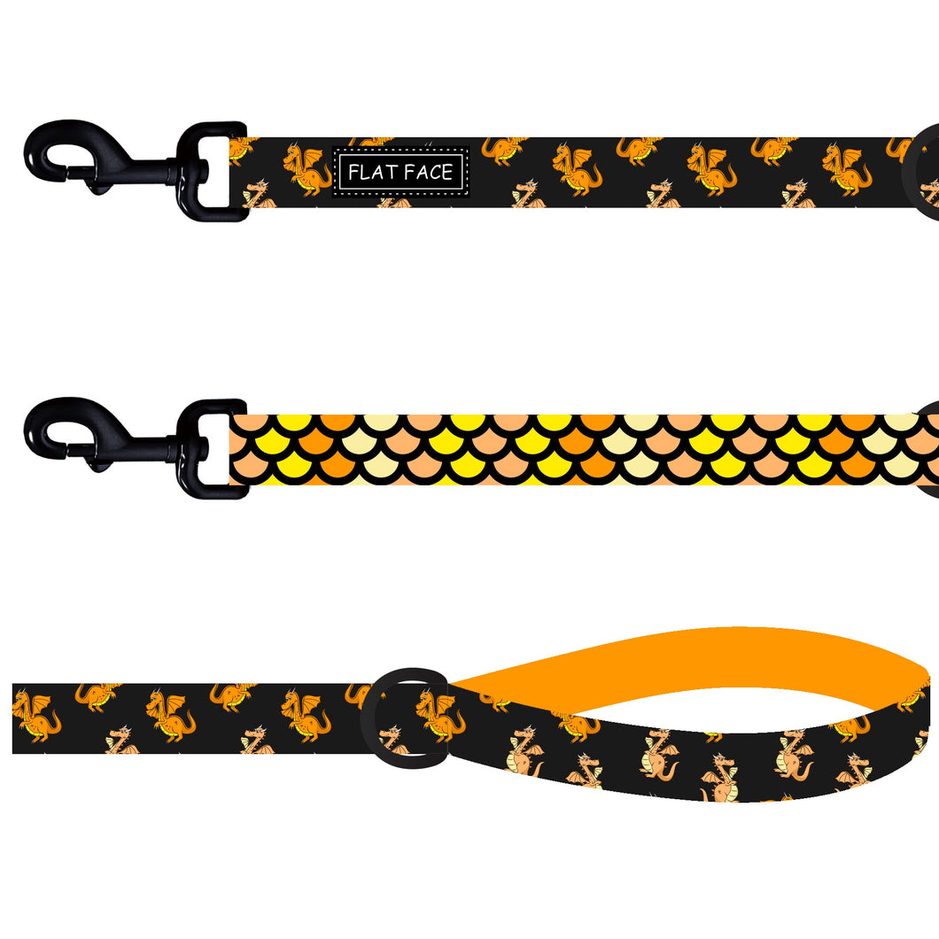 Flat Face Duo Reversible Leash / Lead - Dragon me crazy - Flat Face