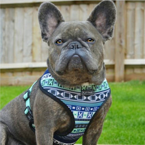 Flat Face Duo Reversible Harness - Aztec Ape - Flat Face