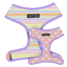 Load image into Gallery viewer, Flat Face Duo Reversible Harness - Candy - Flat Face