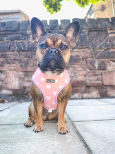 Flat Face Duo Reversible Harness - Candy Hearts - Flat Face