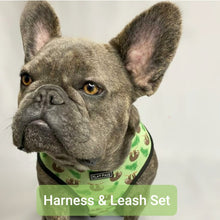 Load image into Gallery viewer, Flat Face Duo Reversible Harness and Leash / Lead Set - Lazy Safari - Flat Face