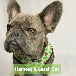 Flat Face Duo Reversible Harness and Leash / Lead Set - Lazy Safari - Flat Face