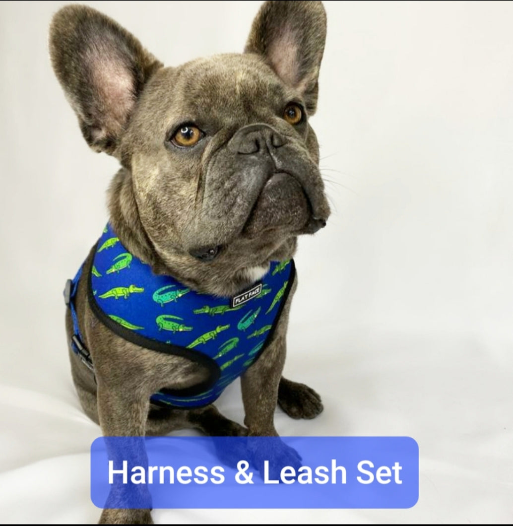 Flat Face Duo Reversible Harness and Leash / Lead Set - Croco Turtle - Flat Face