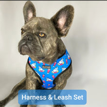 Load image into Gallery viewer, Flat Face Duo Reversible Harness and Leash / Lead Set - Hippoctopus - Flat Face