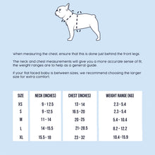 Load image into Gallery viewer, Flat Face Duo Reversible Harness &amp; Leash Set - Bee Sharky - Flat Face