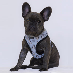 Flat Face Duo Reversible Harness - Arctic - Flat Face