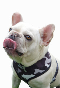 Flat Face Duo Reversible Harness - Undercover Camo - Flat Face