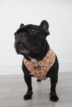 Load image into Gallery viewer, Flat Face Duo Reversible Harness - Theo the Giraffe - Flat Face