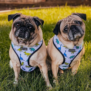 Flat Face Duo Reversible Harness - Dino Bot - Flat Face