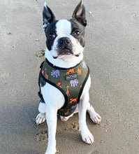 Load image into Gallery viewer, Flat Face Duo Reversible Harness and Leash / Lead Set - Lazy Safari - Flat Face