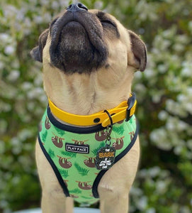 Flat Face Duo Reversible Harness - Lazy Safari - Flat Face