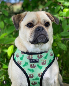 Flat Face Duo Reversible Harness - Lazy Safari - Flat Face