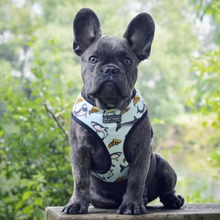 Load image into Gallery viewer, Flat Face Duo Reversible Harness - Bee Sharky - Flat Face