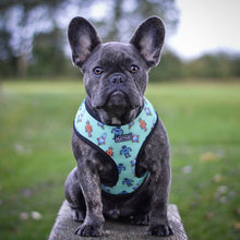 Load image into Gallery viewer, Flat Face Duo Reversible Harness and Leash / Lead Set - Dino Bot - Flat Face